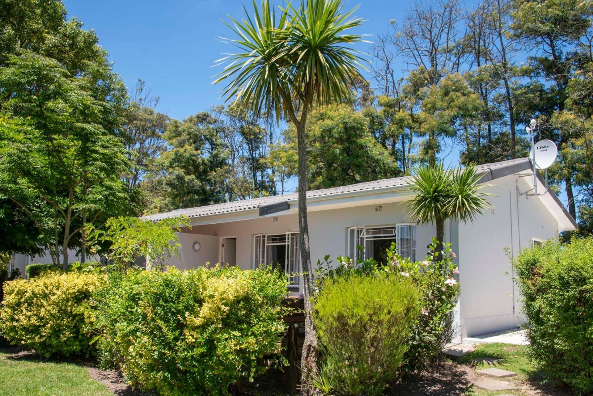 Pine Lodge George Rom bilde